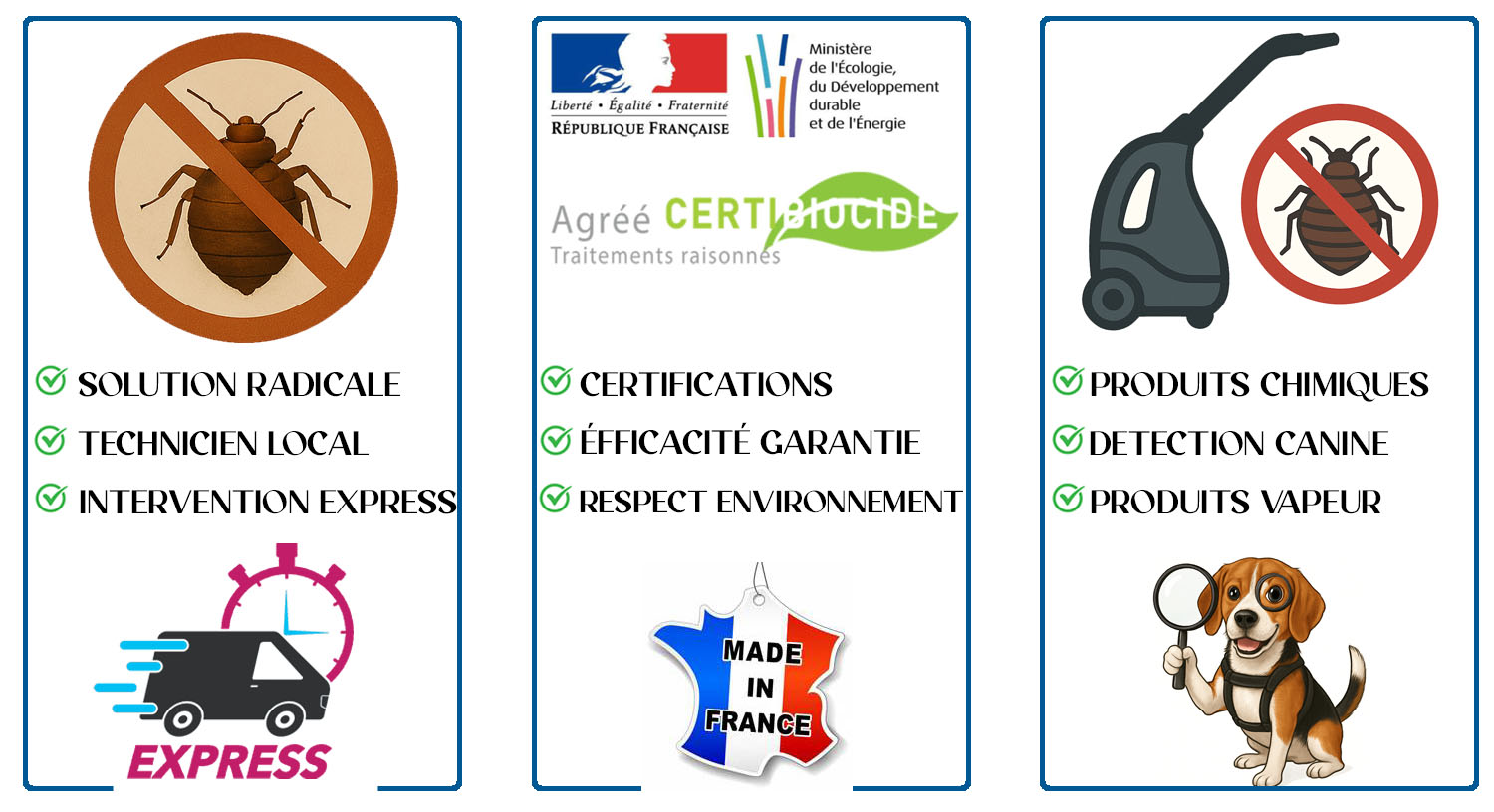 Punaises de Lit Saint Prix