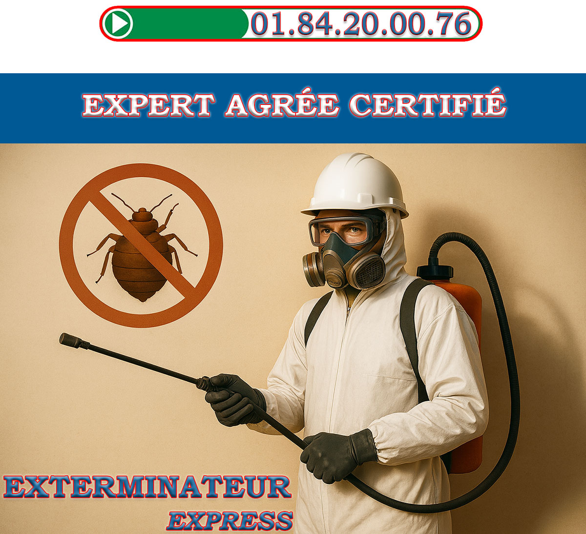 Punaises de Lit Saint Prix